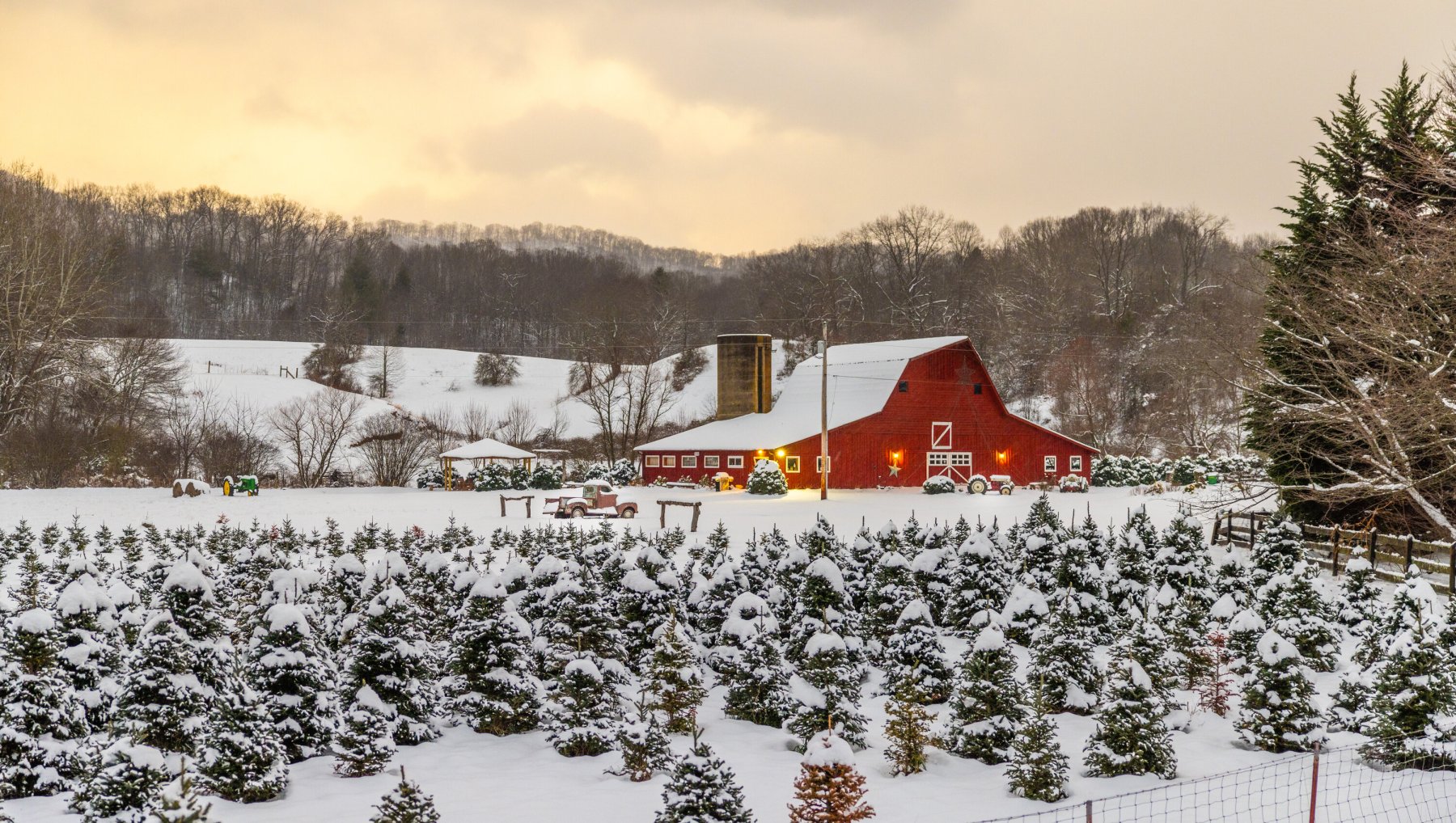 A red barn stands amidst a snowy winter landscape at a Western North Carolina choose-and-cut tree farm.