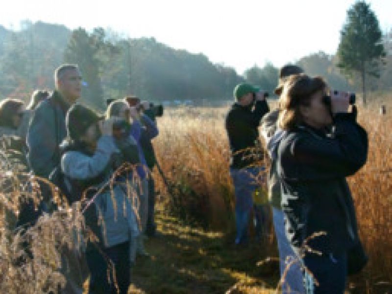 Horton Grove Nature Preserve Visitnc Com