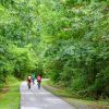 Three people biking on American Tobacco Trail surrounded by green trees