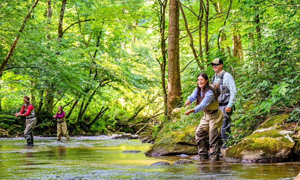 Fly Fishing for Trout Near Highlands & Cashiers, NC