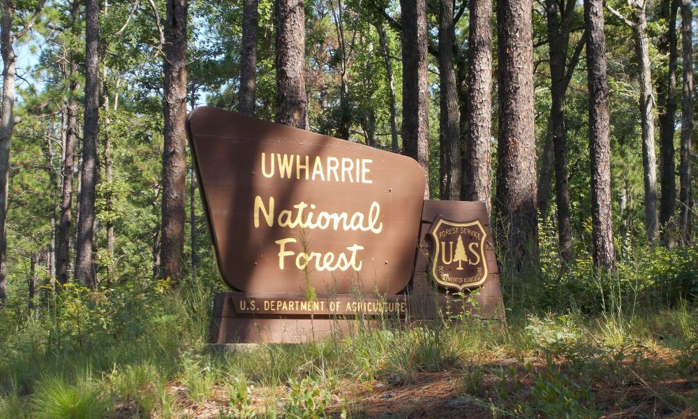 Best hikes in 2024 uwharrie national forest