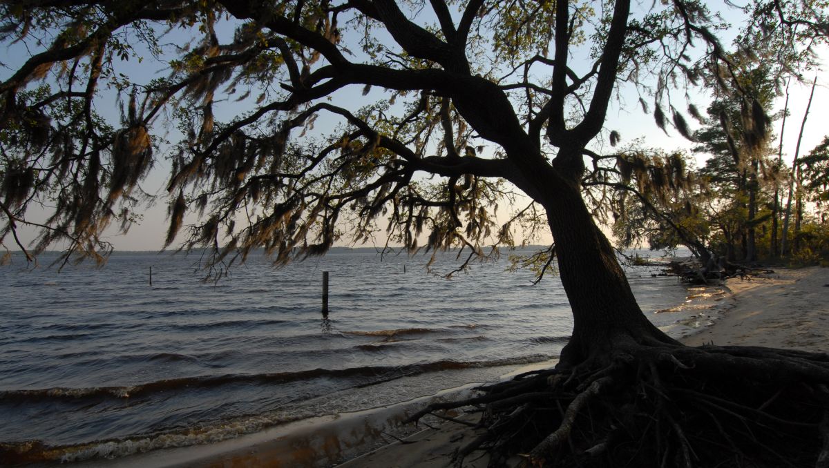 11 Places For Adventure At North Carolina State Parks