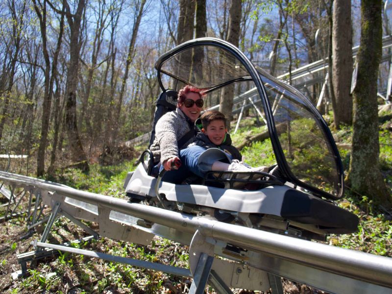 Wilderness Run Alpine Coaster