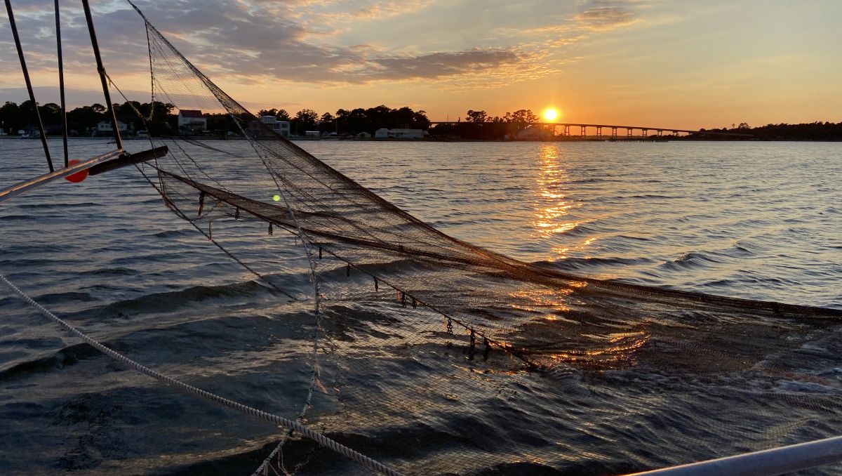 Fishing nets over water with bridge, coastline and sunset in distance