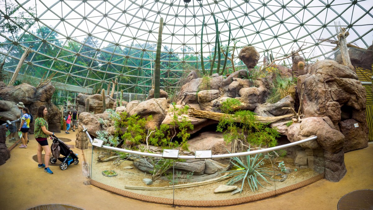 Wide angle of interior exhibit at zoo inside a glass dome