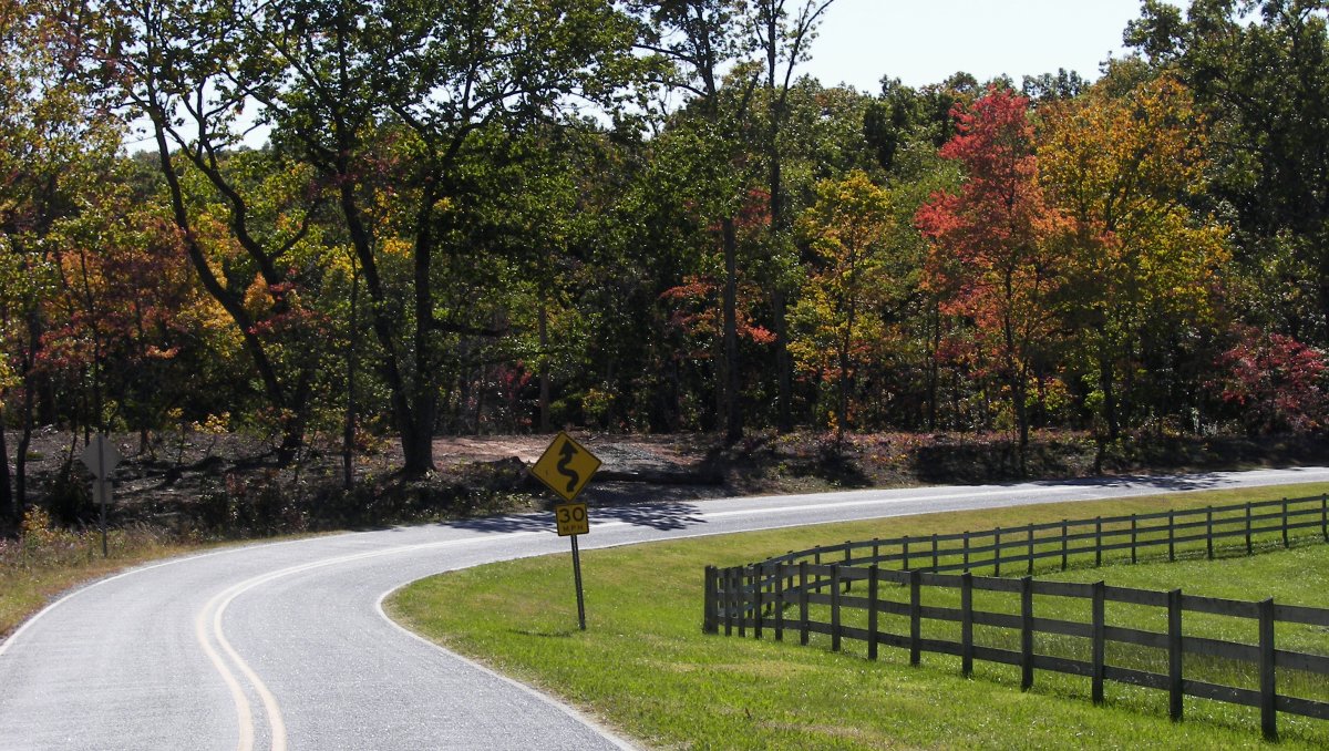 Road winding through countryside with fence to right and trees with fall foliage to the left during daytime