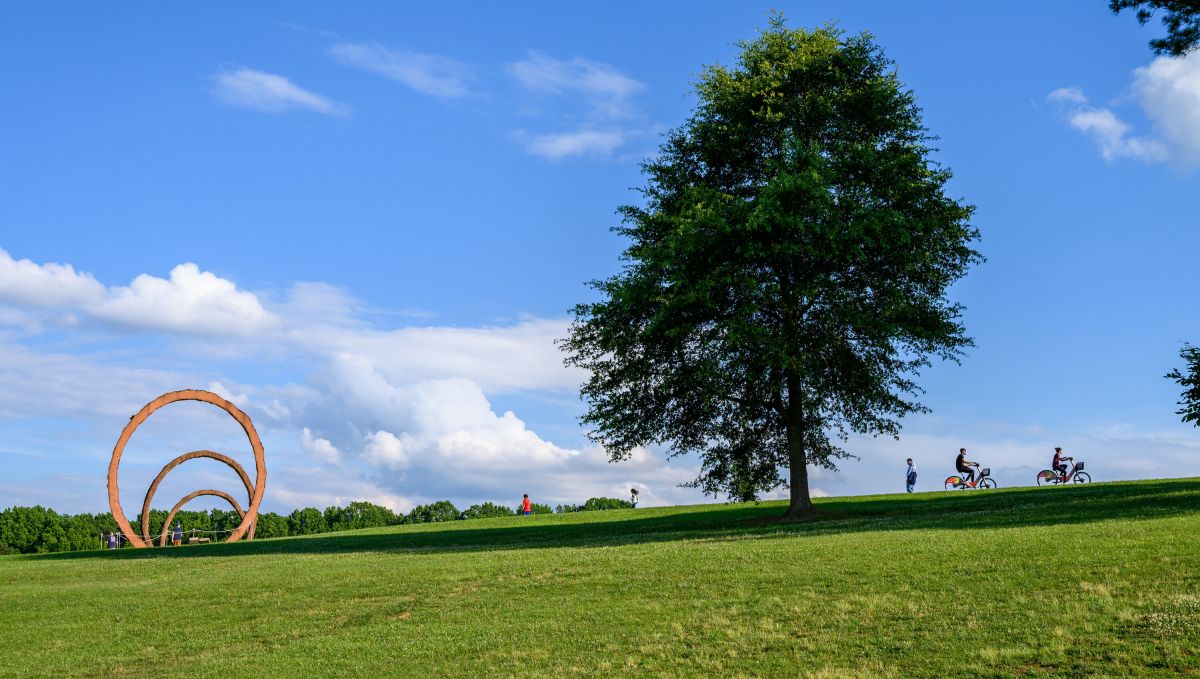 People in distance walking and riding bikes at Museum Park with art in distance and big tree in middle