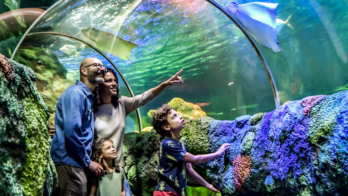 Family of four in aquarium tunnel admiring fish swimming all around them.