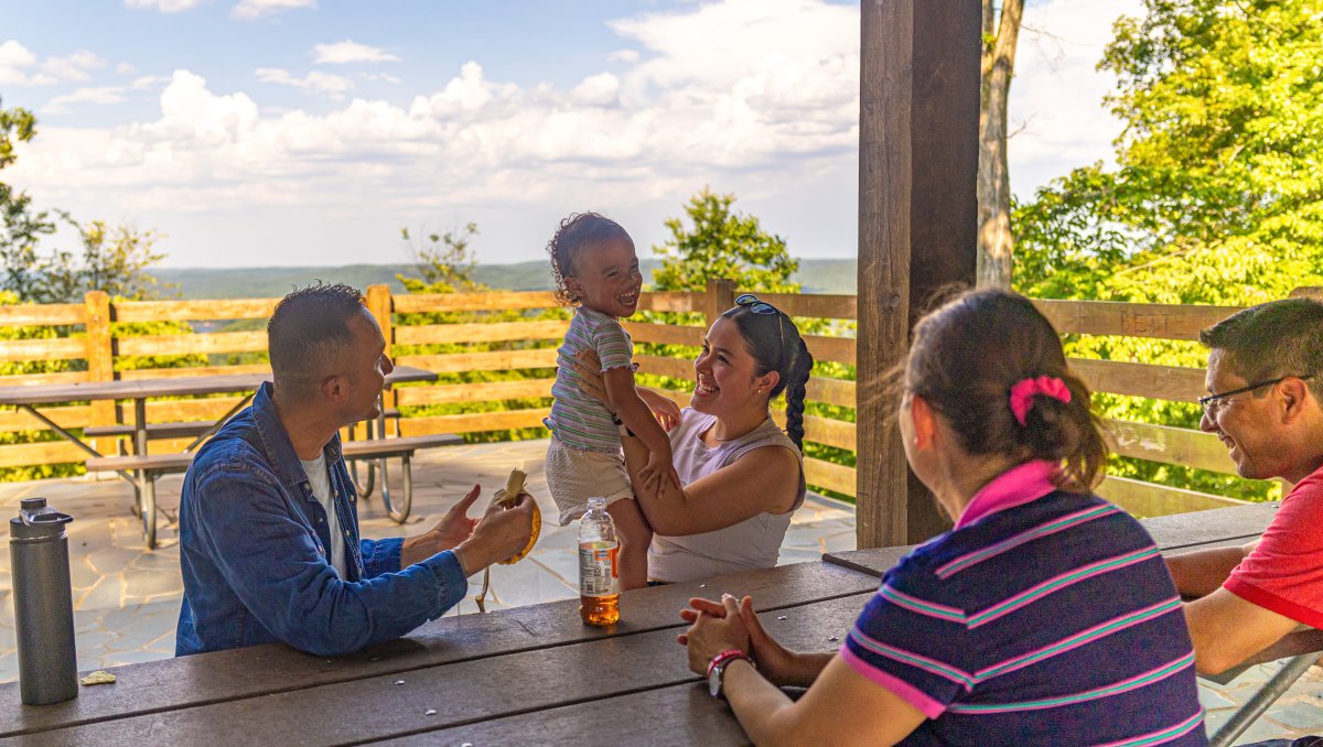 Family enjoying a summer picnic at the shelter in Morrow Mountain State Park with mountains in background.