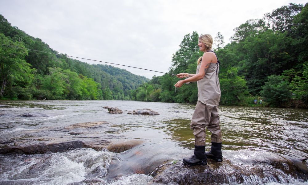 Trout Slam on a Beautiful North Carolina Creek