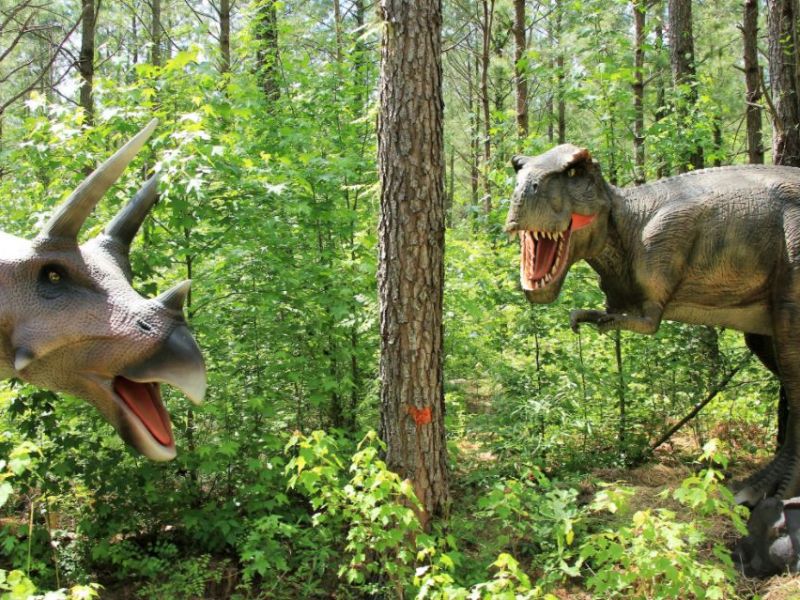 Dinosaur World at Sweet Valley Ranch | VisitNC.com