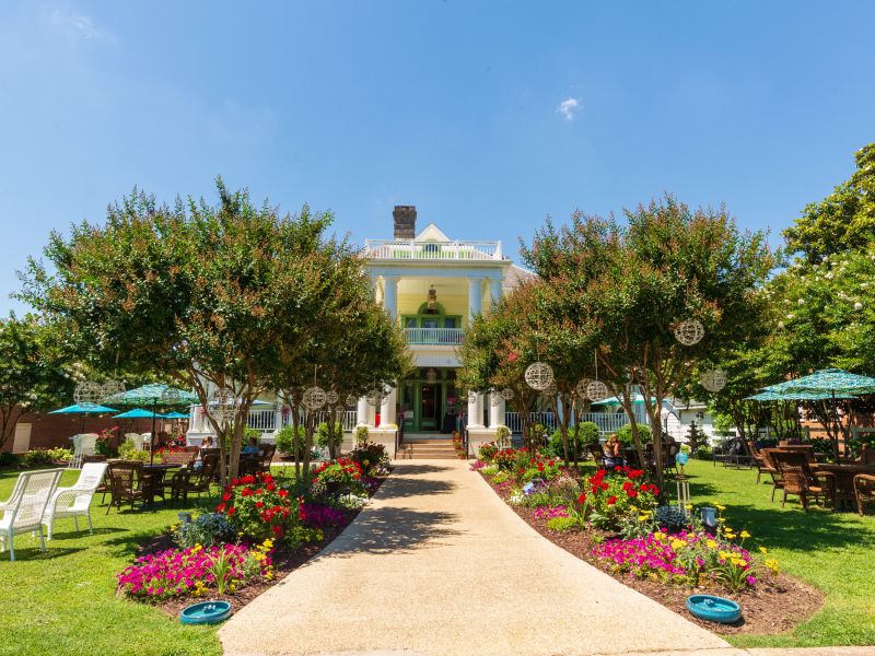 9 Safe and Delightful Johnston County Discoveries