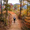 Cyclist on Fire Mountain Trails in Cherokee surrounded by fall foliage