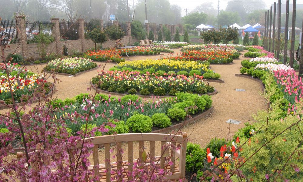 Gardens in Winston Salem: Discover Tranquil Oasis
