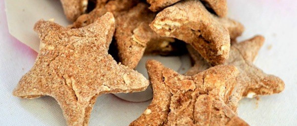 Star-shaped dog treats from Carolina Biscuit Co.