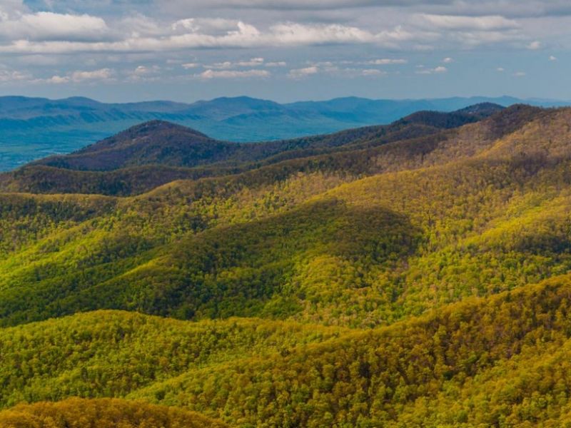 Wolf Mountain Realty Rentals | VisitNC.com