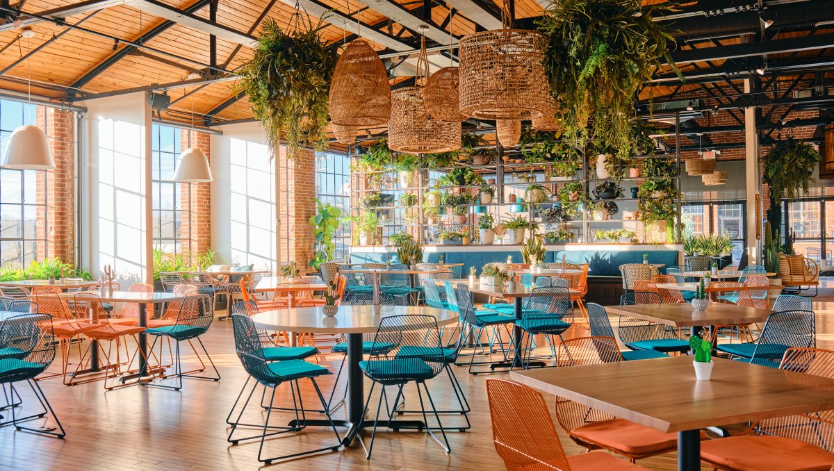 Bright restaurant with orange and blue chairs at tables with greenery hanging from ceiling