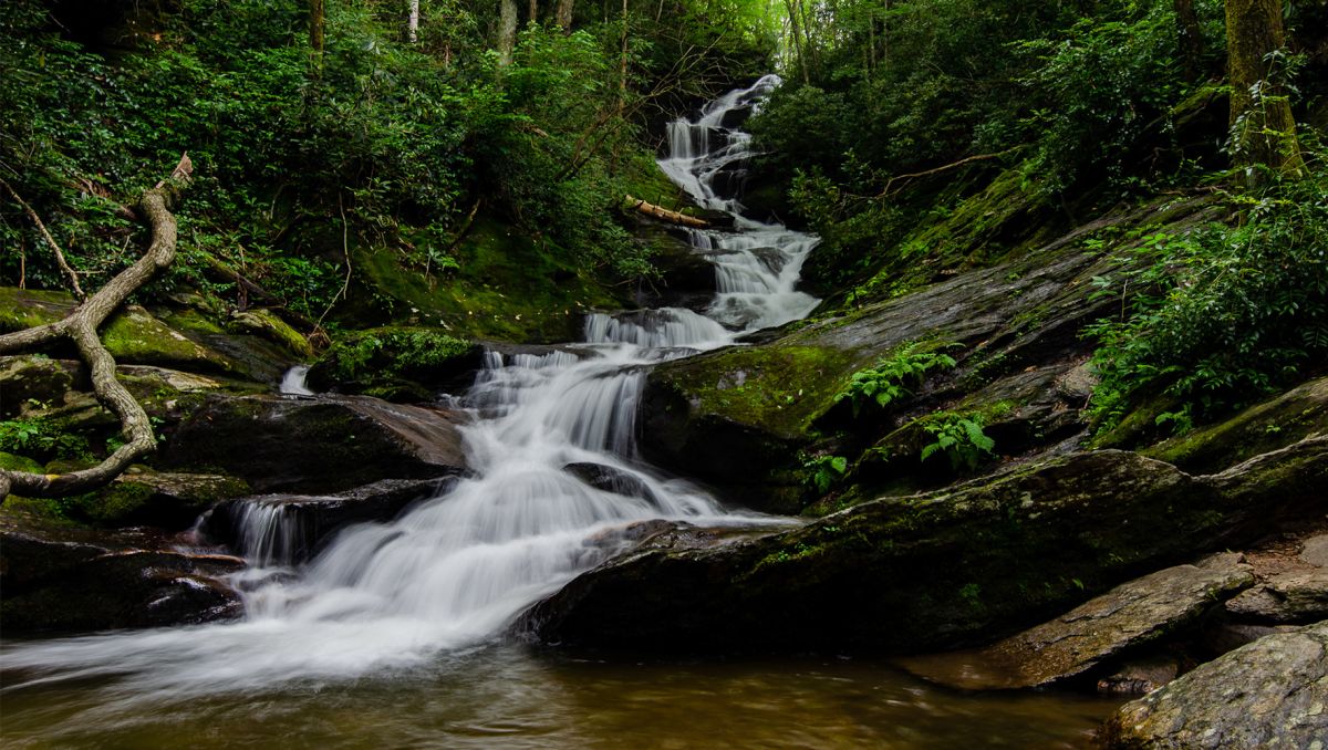 Waterfall meandering down rocks and moss in woods