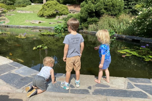 Three young children standing beside pond in garden 