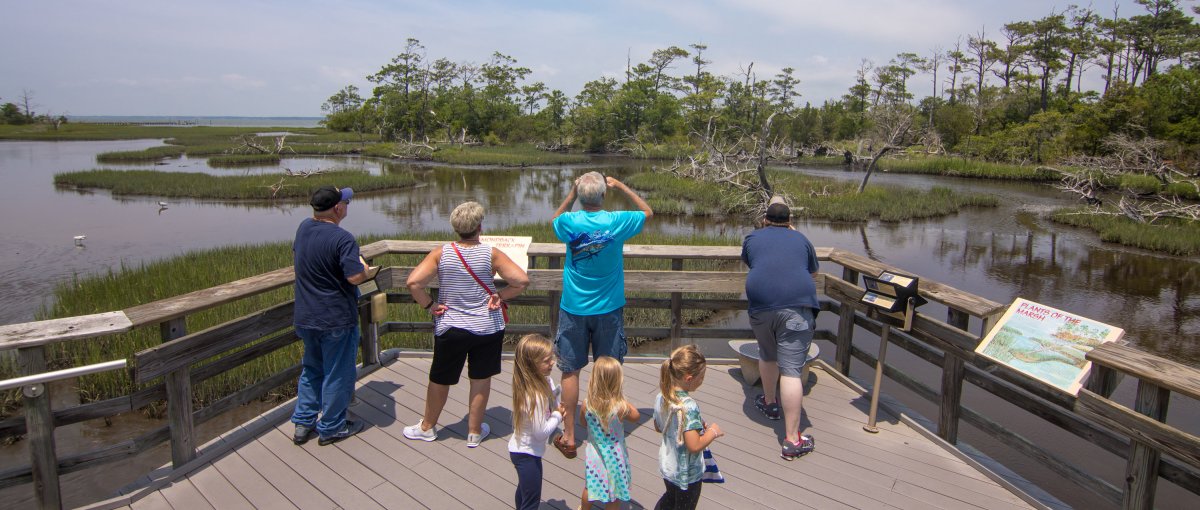 Family at outdoor aquarium exhibit looking out onto trees and marshes