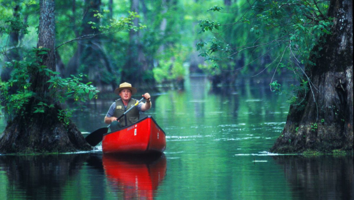 11 Places For Adventure At North Carolina State Parks Visitnc Com