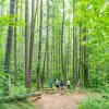 Group of people forest bathing with arms outstretched surrounded by tall green trees in woods