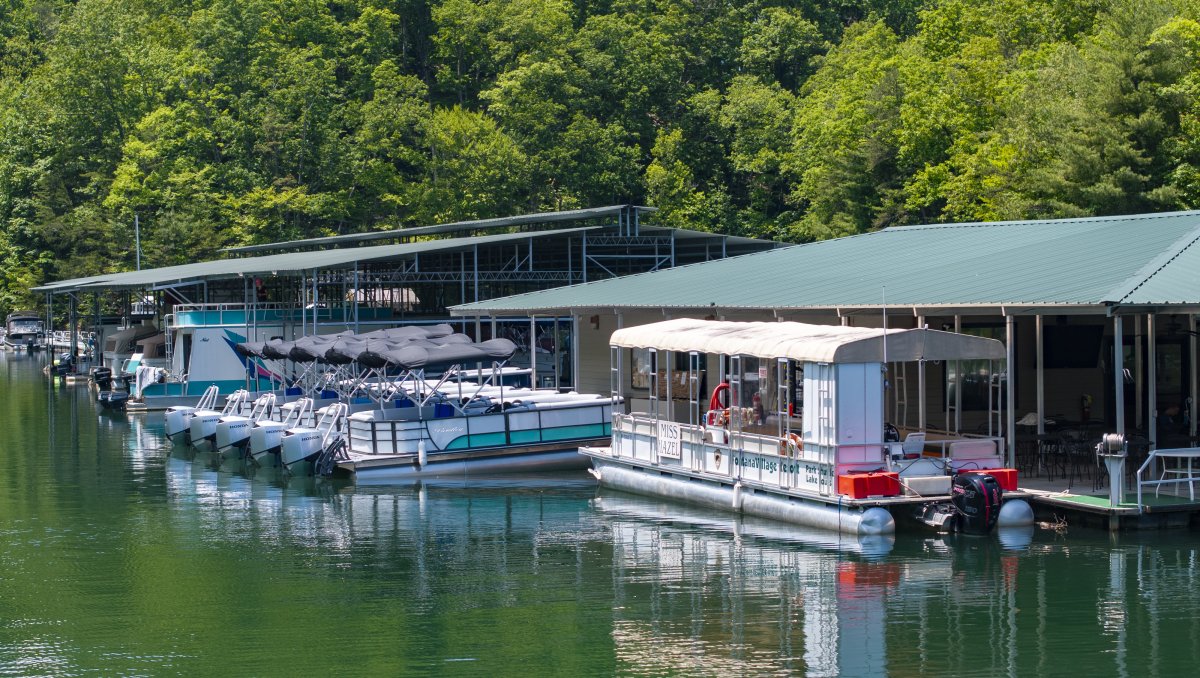 Miss Hazel tour boat and more pontoons docked at marina at Fontana Village Resort.