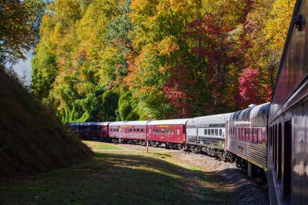 Great Smoky Mountains Railroad train riding through brilliant foliage.