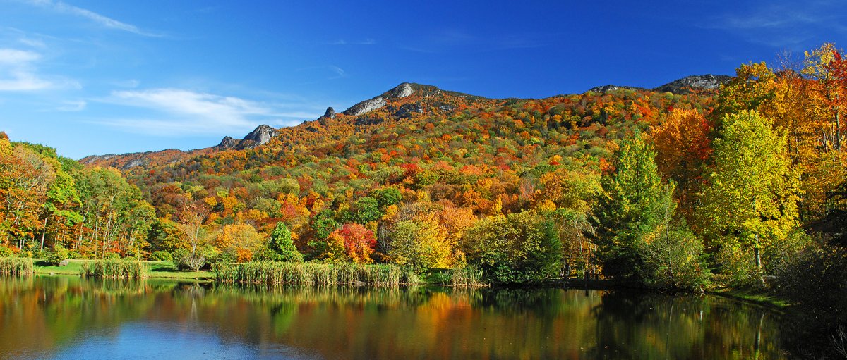 fall foliage at lake near Banner Elk