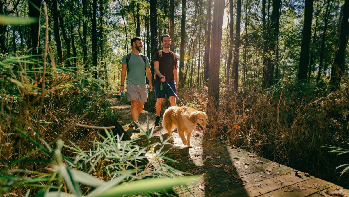 Couple walking dog on wooden trail through woods