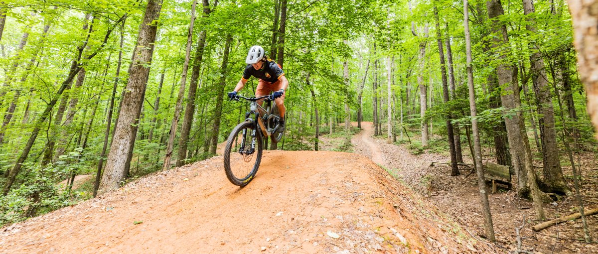Mountain biker cycling down trail through bright green forest at bike park