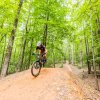 Mountain biker cycling down trail through bright green forest at bike park