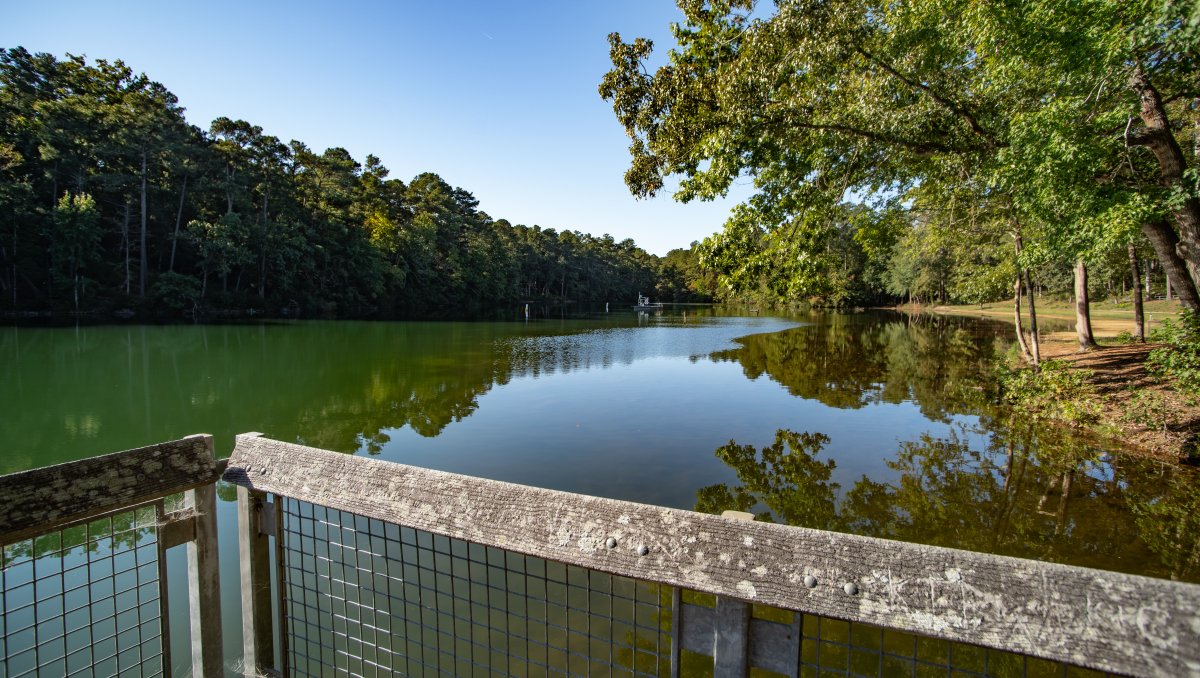 North Carolina Swimming Holes – NC Lakes & Rivers