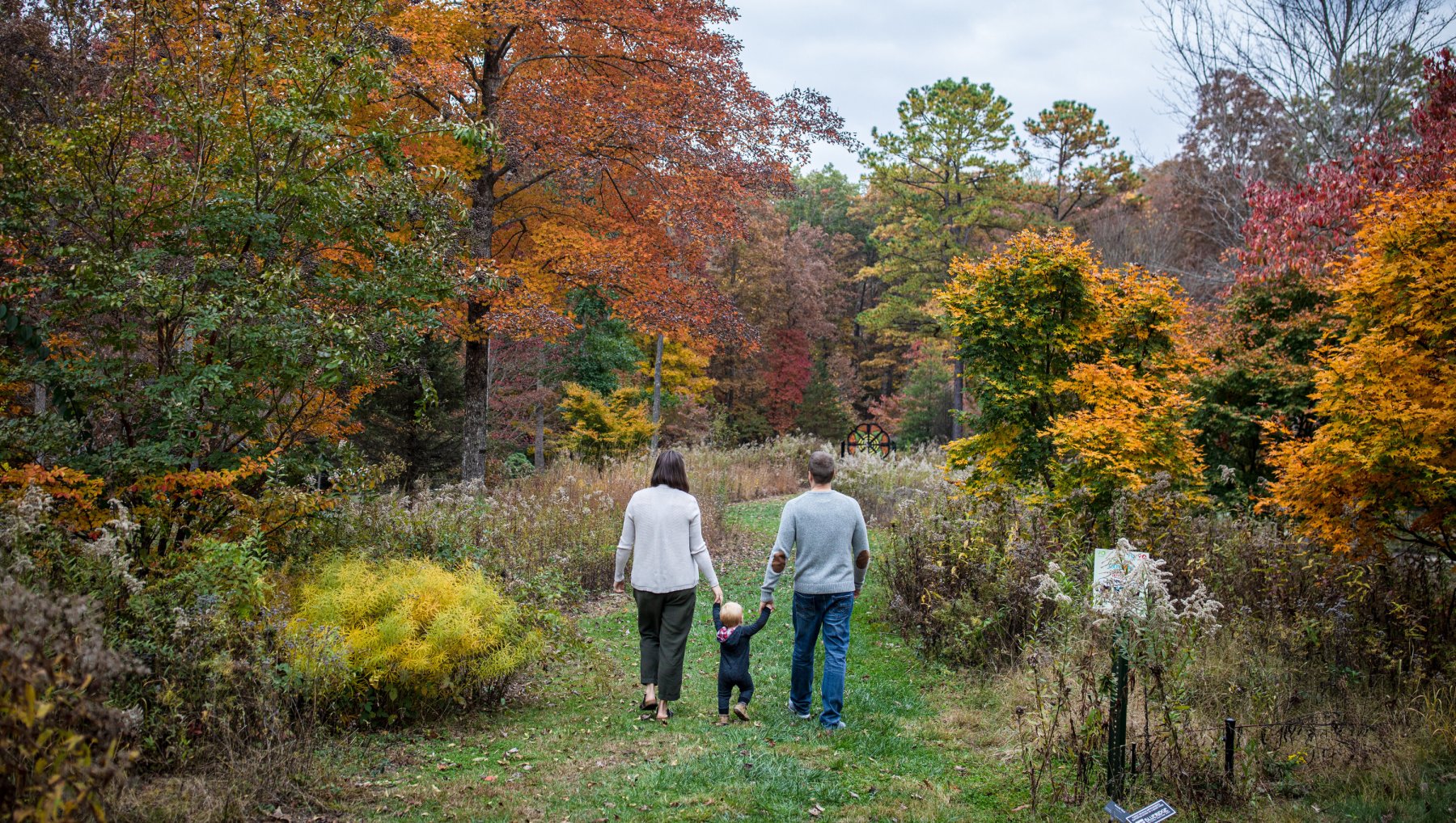 Parents holding toddlers hand as they walk through foliage-lined trail at NC Arboretum.