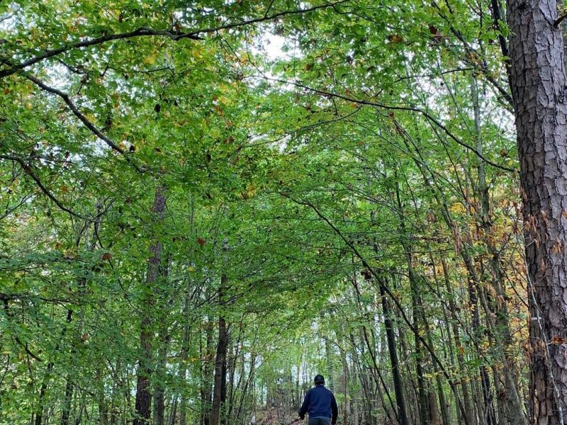 Birkhead mountain outlet trail