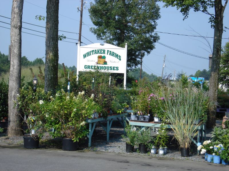 Whitaker Farms and Garden Center