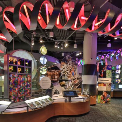 Marbles Kids Museum and Marbles IMAX | VisitNC.com