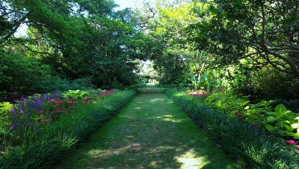 Grass pathway in garden surrounded by plants, flowers and trees during daytime