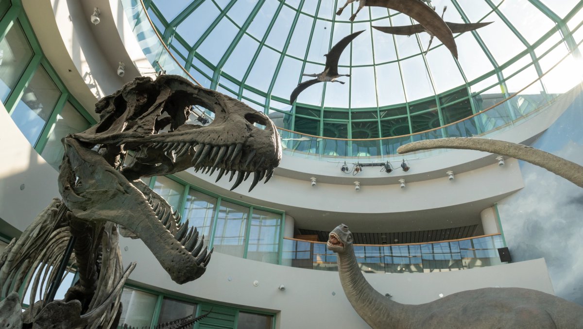 Dinosaur exhibits underneath domed glass roof in science museum