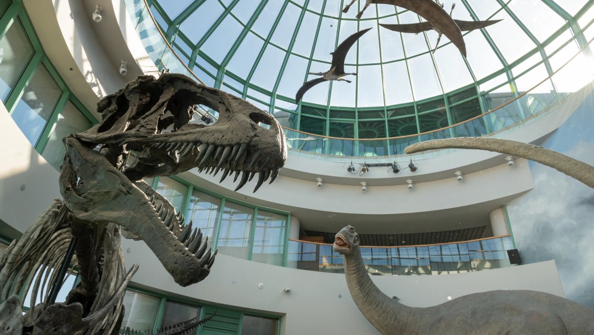 Dinosaur exhibits underneath domed glass roof in science museum