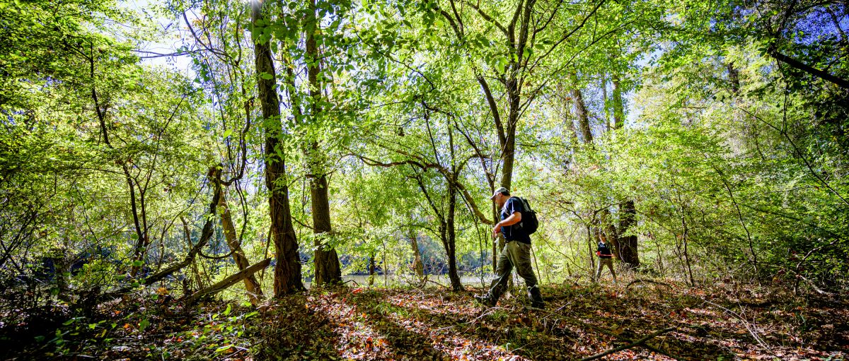 Man walking on hiking trail in River Park North with trees all around