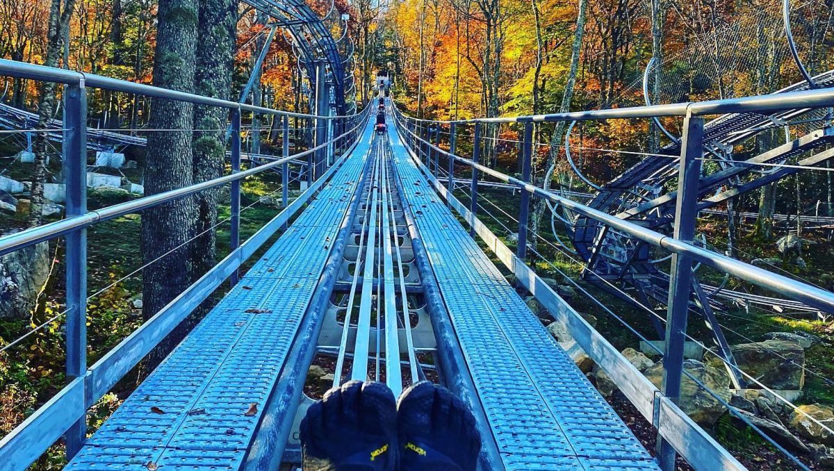 Person sitting in cart of alpine coaster surrounded by fall foliage