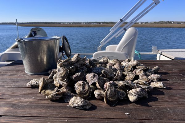 Pile of oysters and a silver bucket sitting on a table on a boat with water and land in background