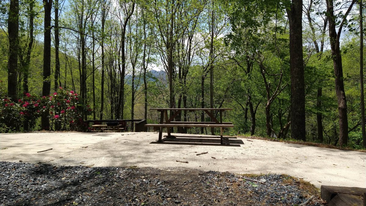 Campsite with picnic table with trees and mountains in distance at Plumtree Campground.