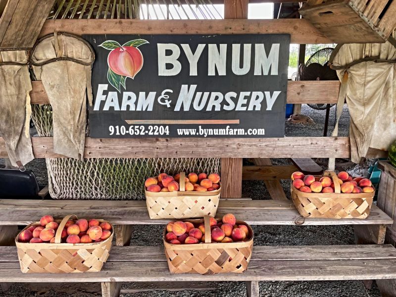 Bynum Peach Farm | VisitNC.com