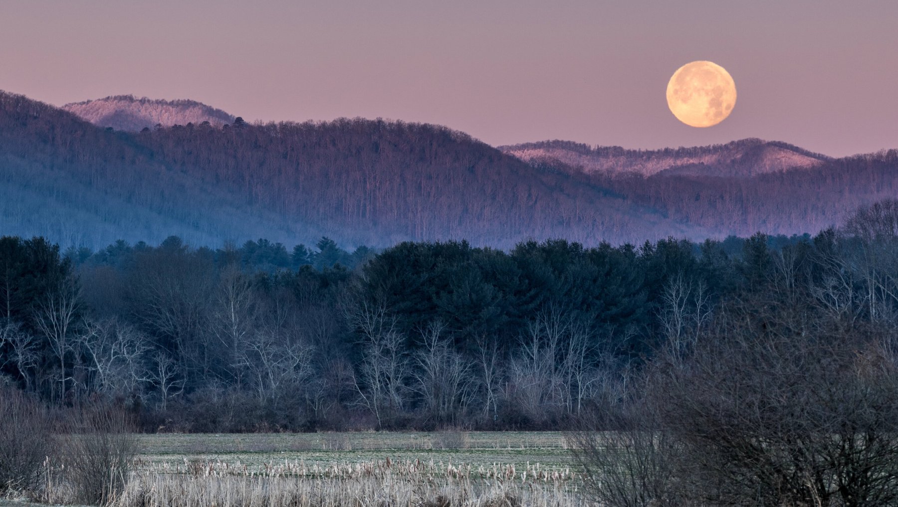 Wintry field with mountains and trees in distance underneath a full moon.