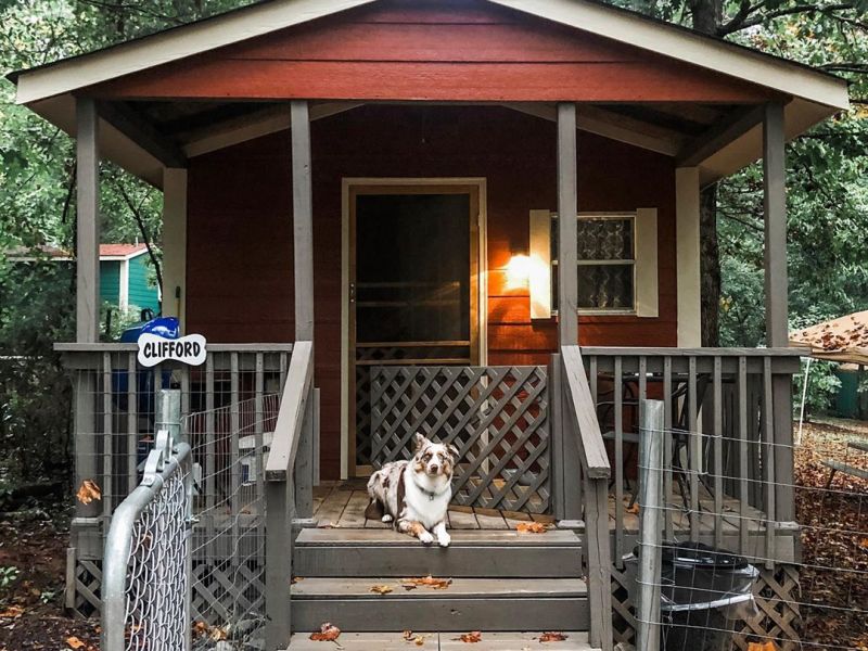PetFriendly Cabins and Vacation Rentals Near Asheville