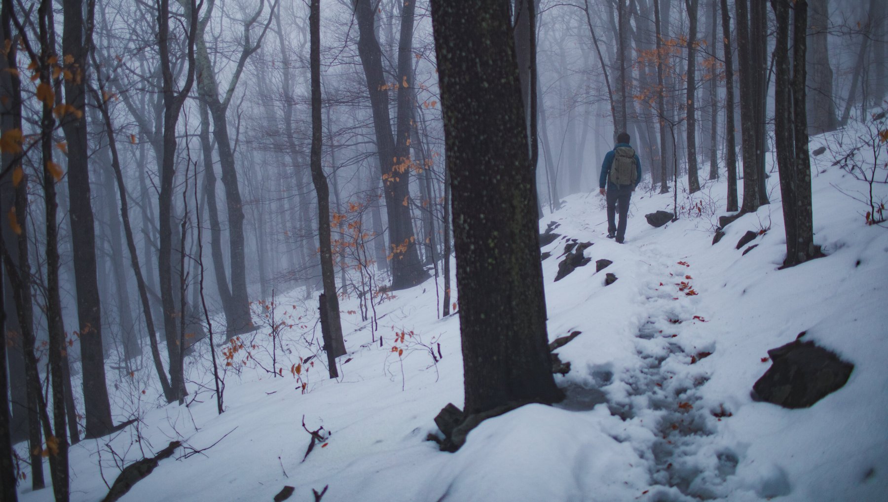 Person hiking through snowy mountain trail surrounded by trees on foggy day.