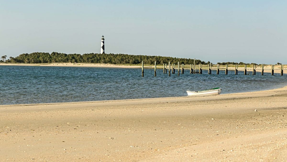 Beachcombing: Tips & Tricks for Seashell Hunting in NC