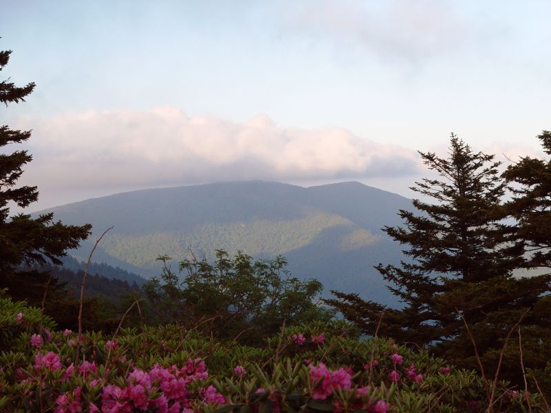 Roan Mountain